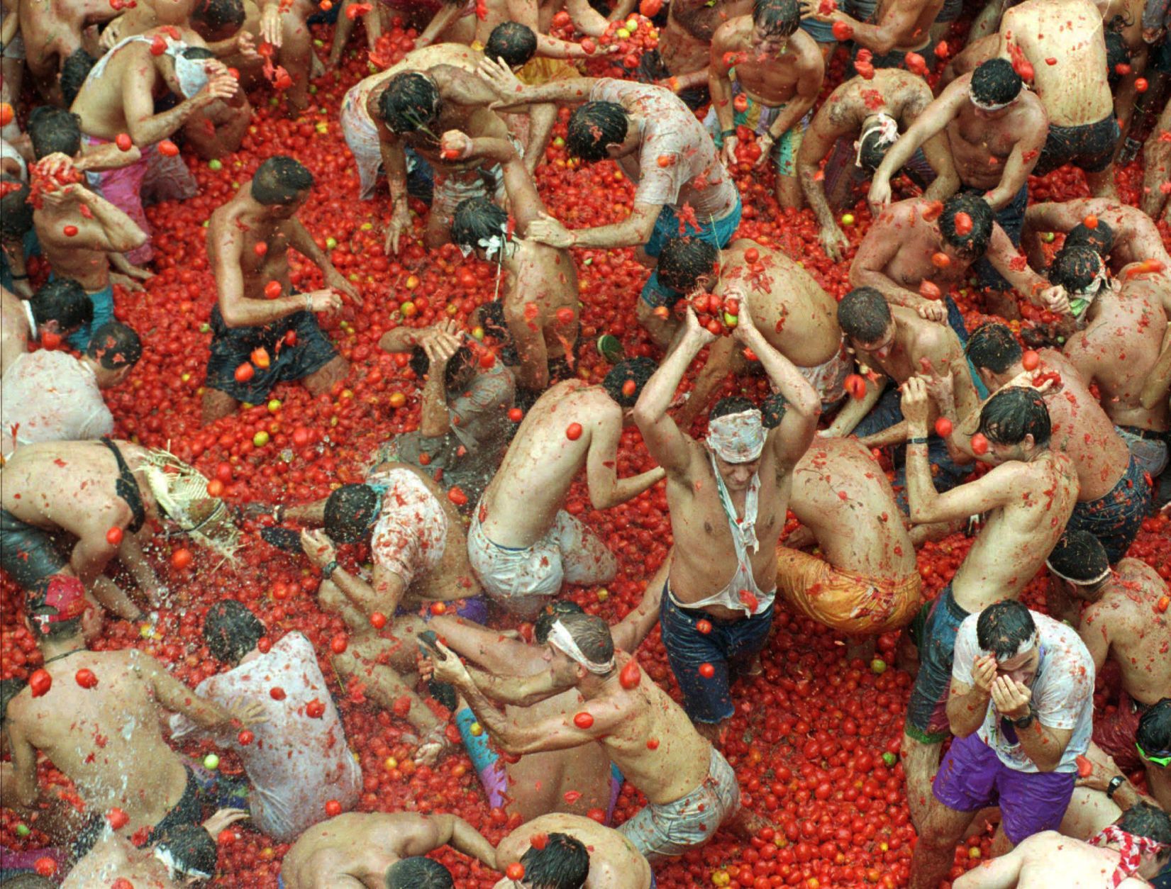 1995: TOMATO FIGHT